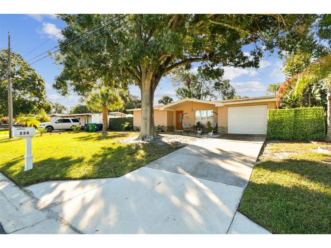 226 Maple Avenue Palm Harbor FL 34684 TB8444705 image7