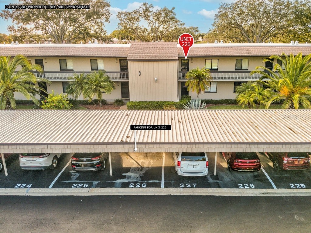 226 Nina Way #226 Oldsmar FL 34677 W7859321 image1