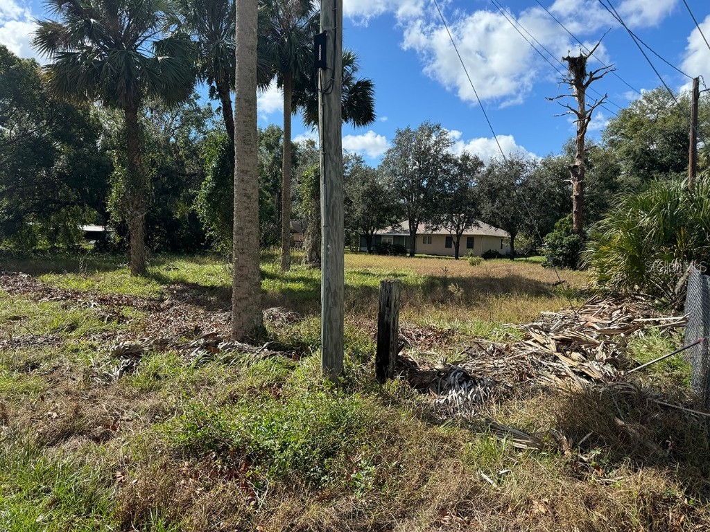 226 Oak Dr Osteen FL 32764 O6307981 image3