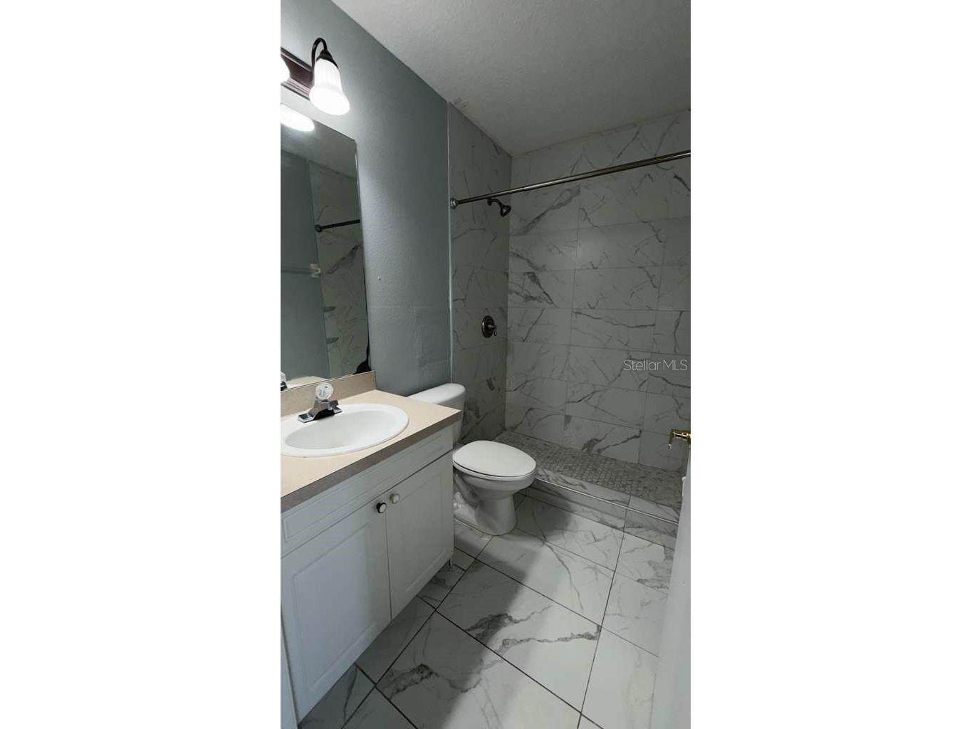 226 Orchid Drive Davenport FL 33897 S5149297 image17