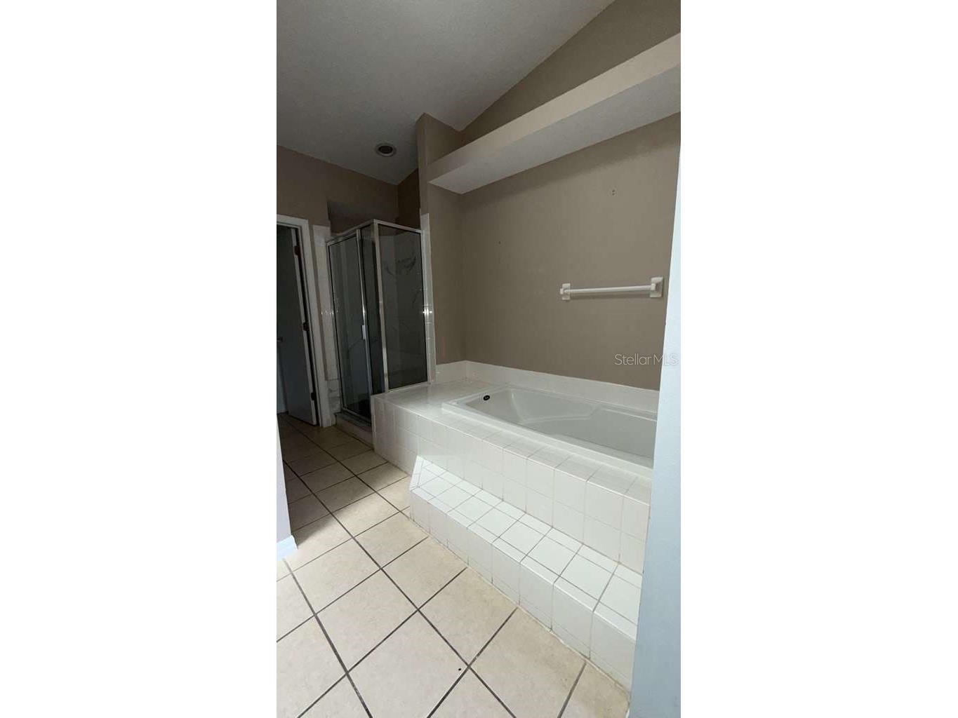 226 Orchid Drive Davenport FL 33897 S5149297 image9