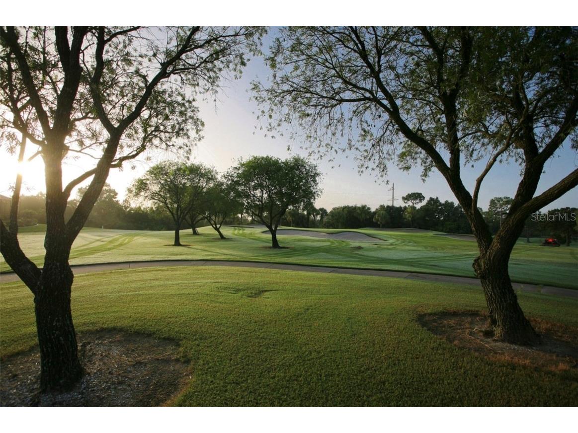 226 Southampton Lane #257 Venice FL 34293 A4519044 image18