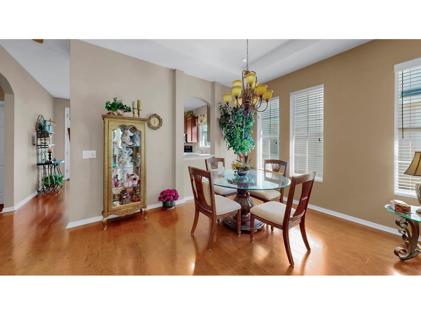 226 Summerside Court Apollo Beach FL 33572 TB8448095 image10