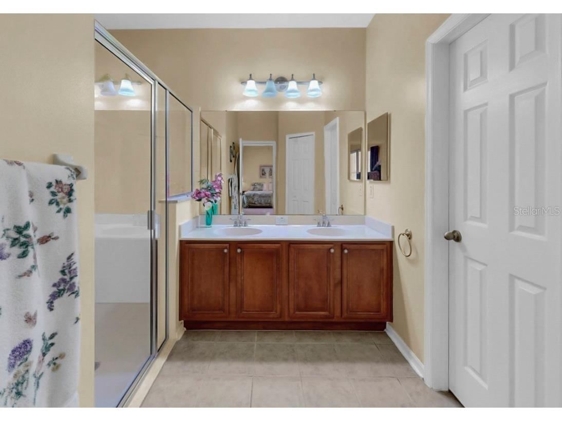 226 Summerside Court Apollo Beach FL 33572 TB8448095 image27