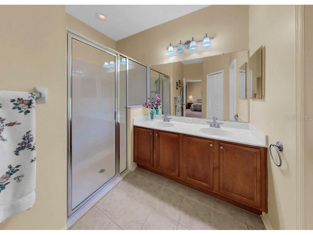 226 Summerside Court Apollo Beach FL 33572 TB8448095 image28