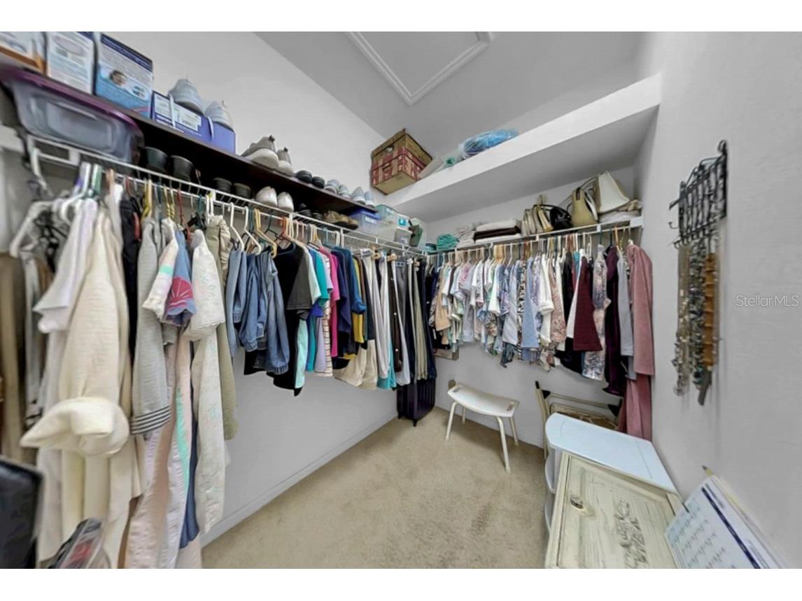 226 Summerside Court Apollo Beach FL 33572 TB8448095 image29