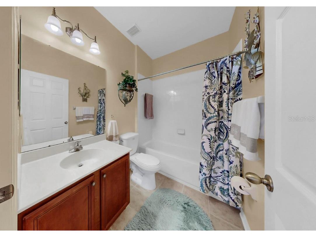 226 Summerside Court Apollo Beach FL 33572 TB8448095 image31