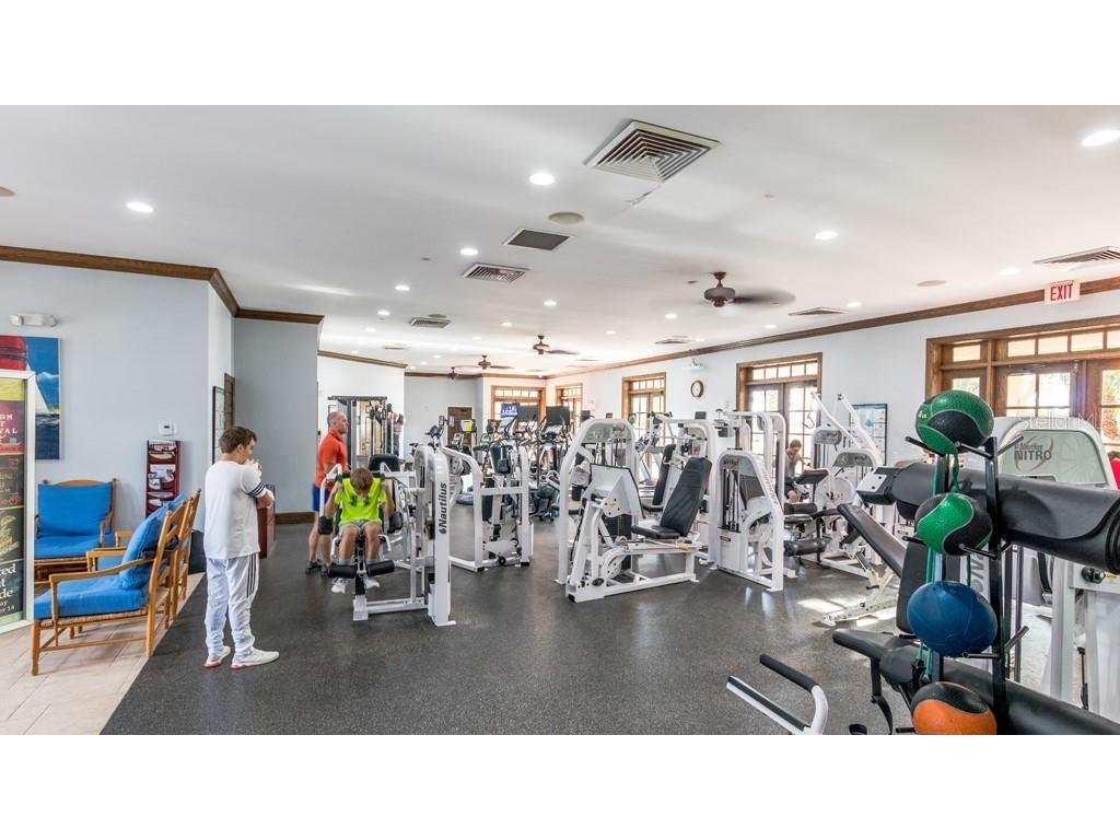 226 Summerside Court Apollo Beach FL 33572 TB8448095 image48