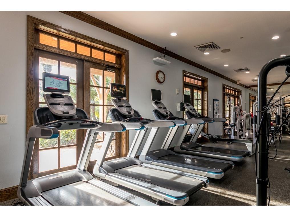 226 Summerside Court Apollo Beach FL 33572 TB8448095 image49