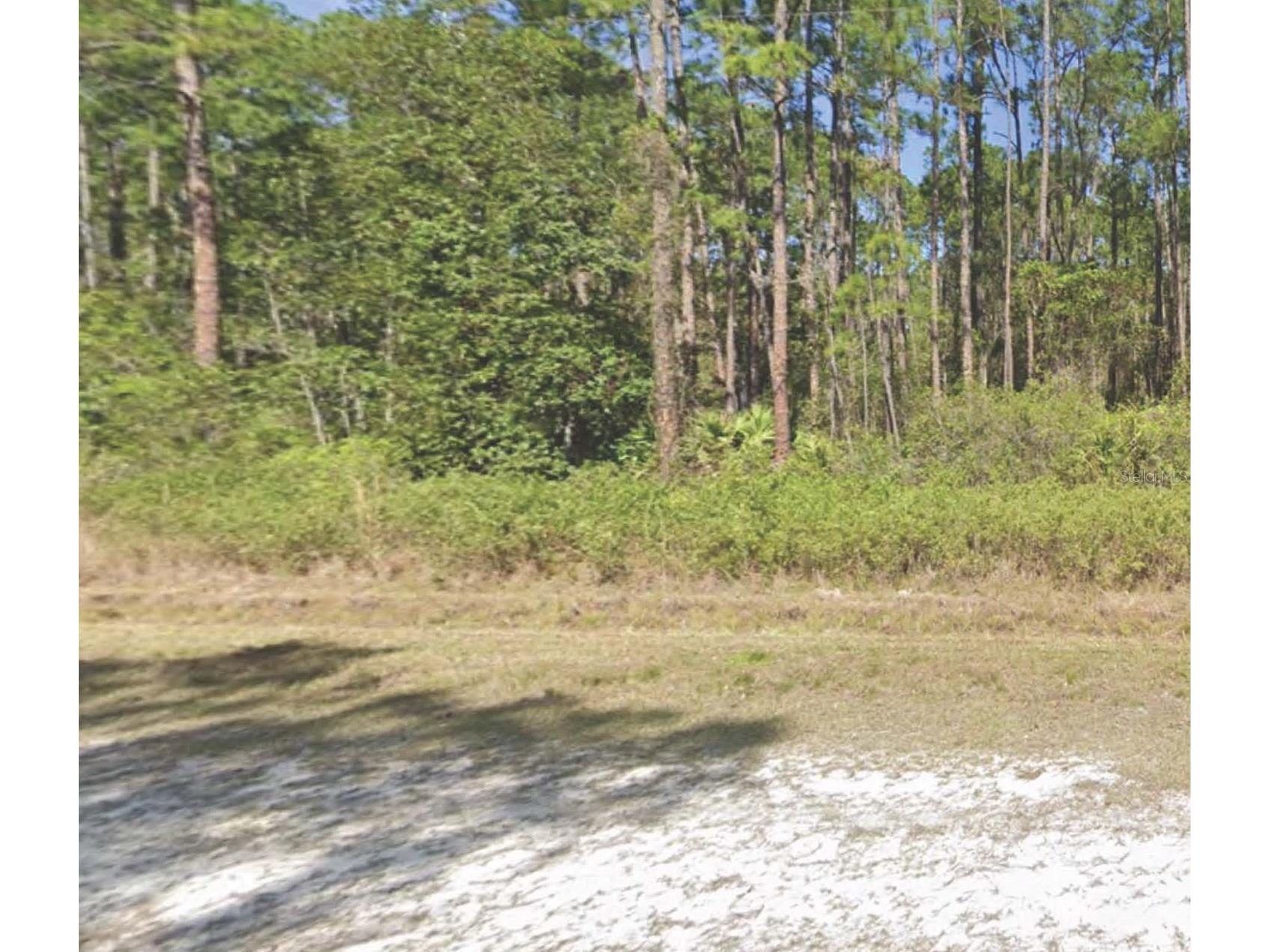 226 Terri Avenue Georgetown FL 32139 OM715774 image1