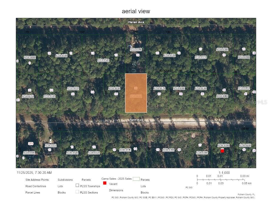 226 Terri Avenue Georgetown FL 32139 OM715774 image2