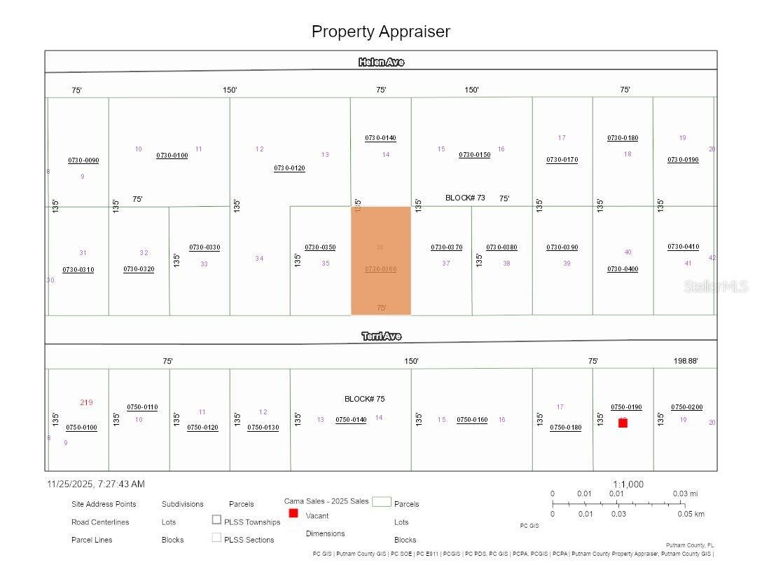 226 Terri Avenue Georgetown FL 32139 OM715774 image3