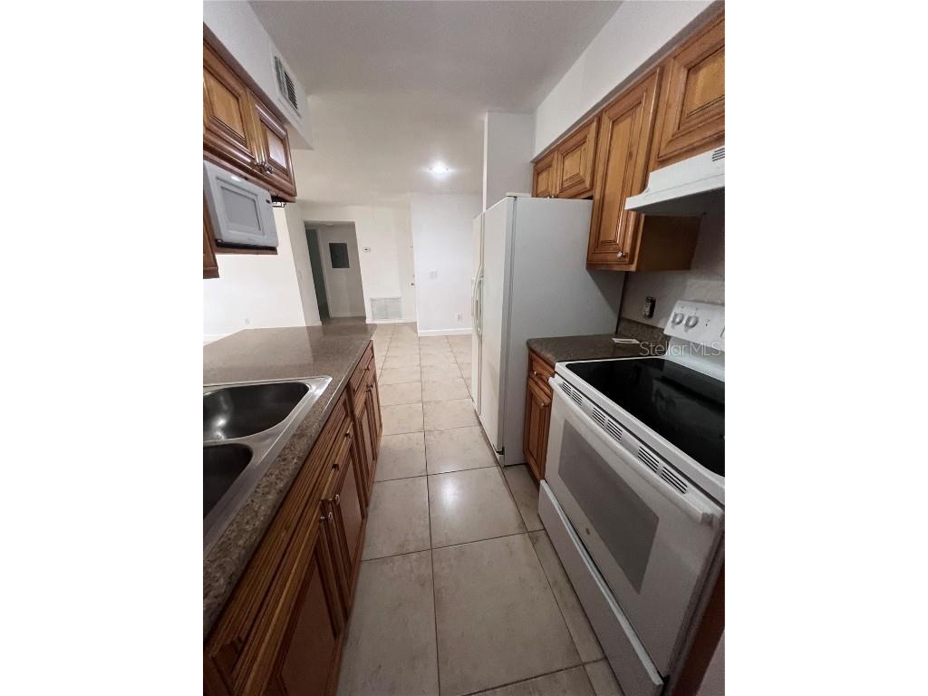 226 Thorn Tree Place #226 Brandon FL 33510 TB8394352 image3