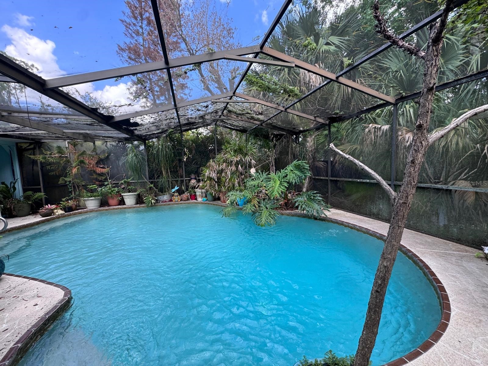 226 W Cumberland Circle Longwood FL 32779 O6408998 image10
