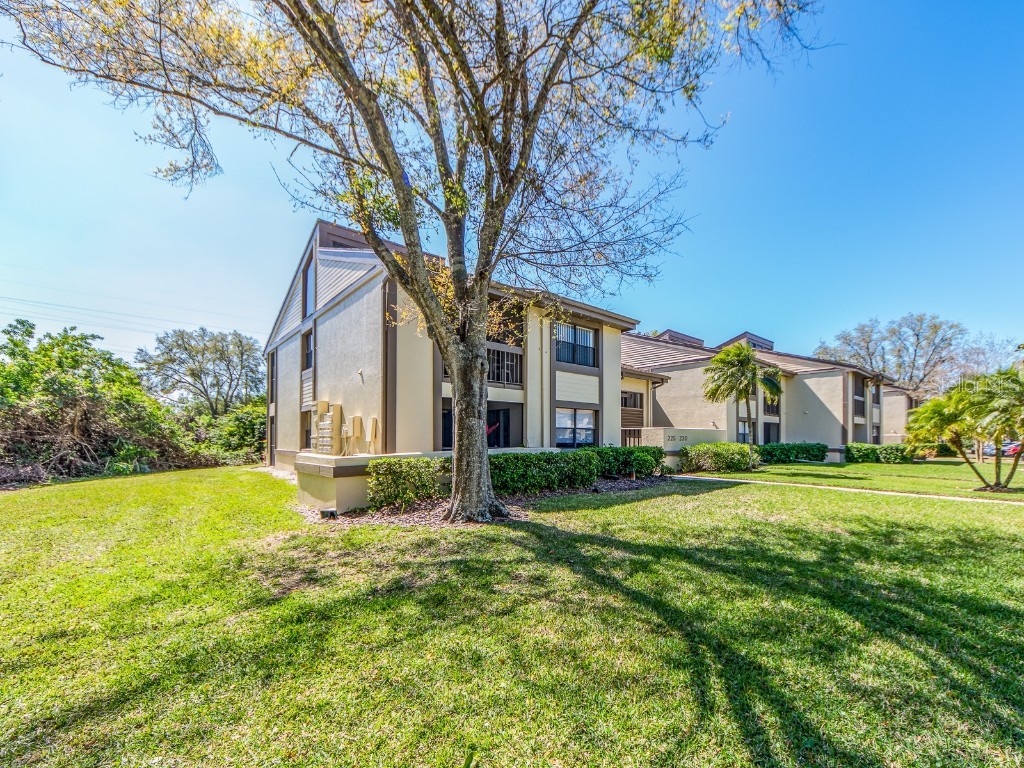226 Woodlake Wynde Oldsmar FL 34677 TB8359692 image1