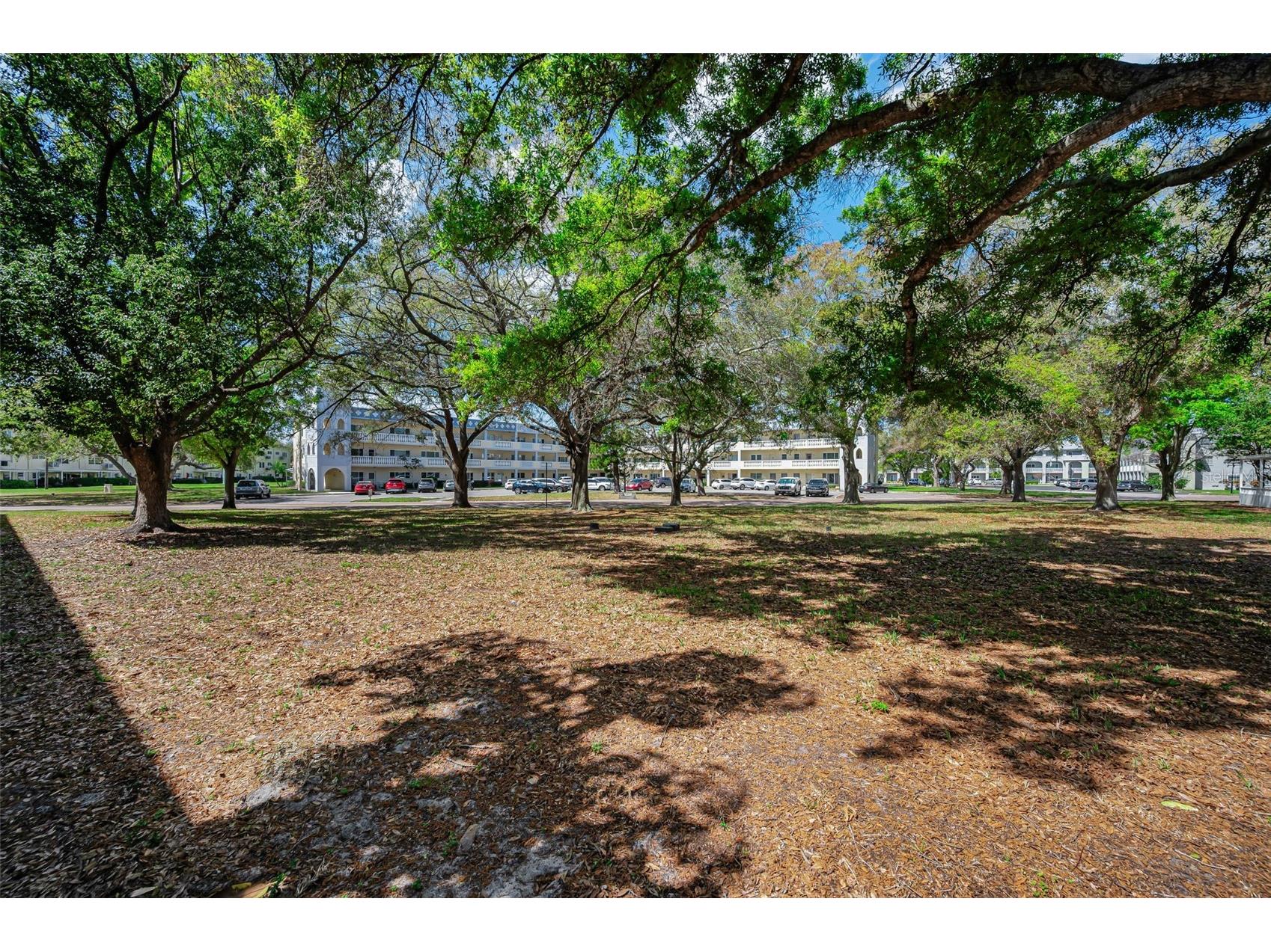 2260 Costa Rican Drive #6 Clearwater FL 33763 - HARBOR LAKE TB8484175 image20