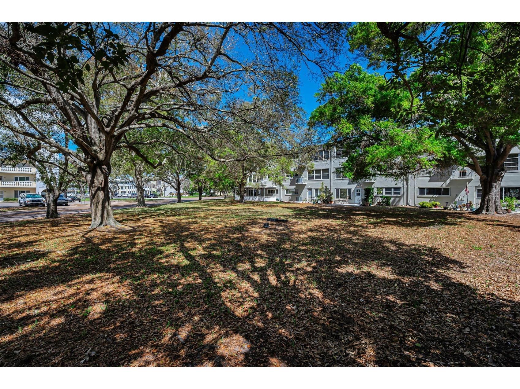 2260 Costa Rican Drive #6 Clearwater FL 33763 - HARBOR LAKE TB8484175 image22