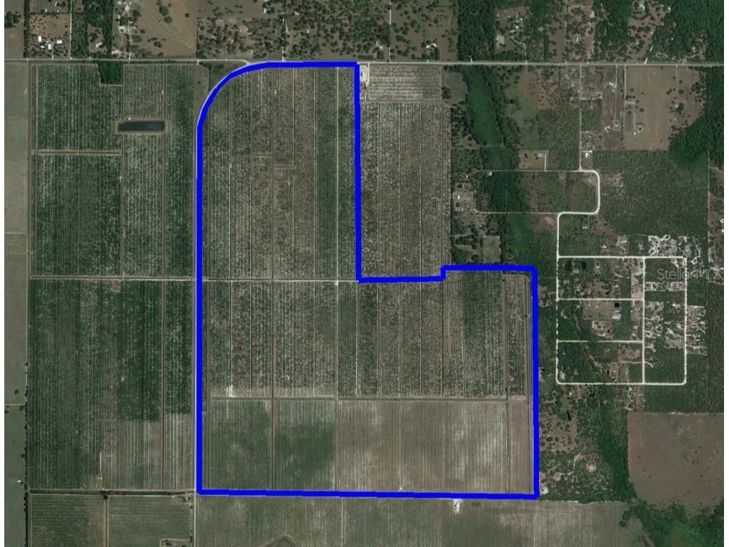 2260 County Road 731 Venus FL 33960 C7489674 image1