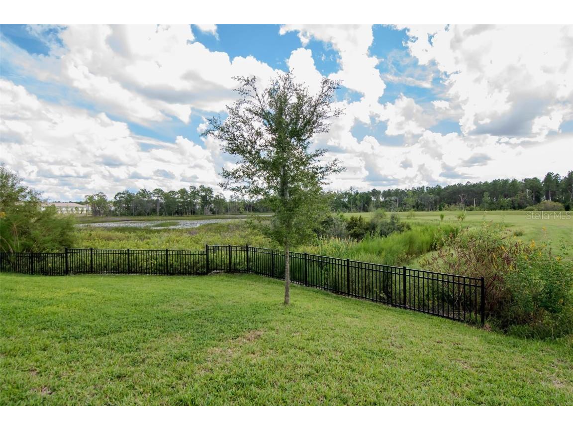 2260 Derwent Drive Davenport FL 33896 TB8436067 image39