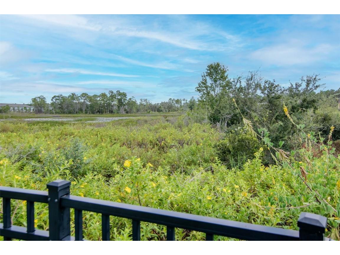 2260 Derwent Drive Davenport FL 33896 TB8436067 image43