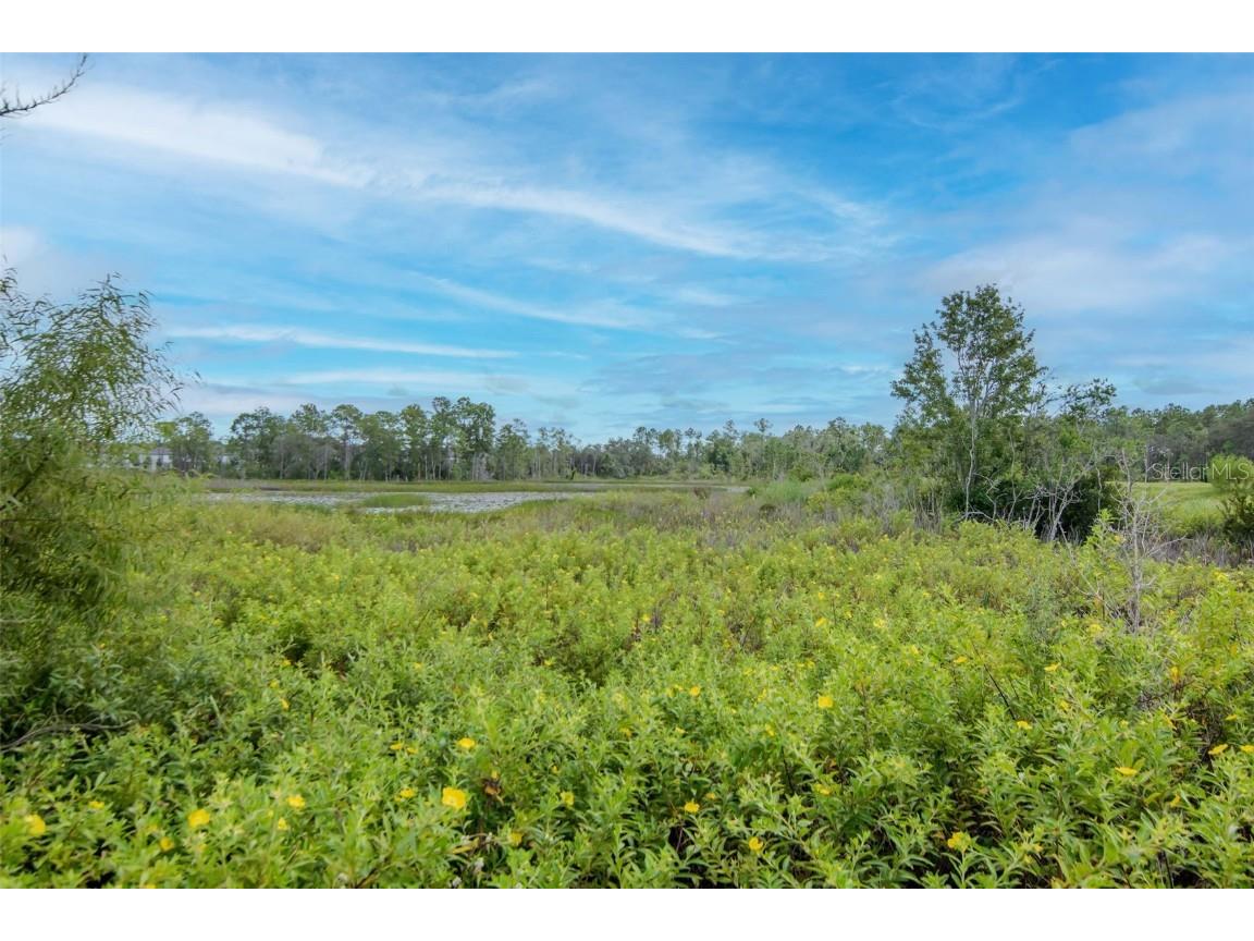 2260 Derwent Drive Davenport FL 33896 TB8436067 image44