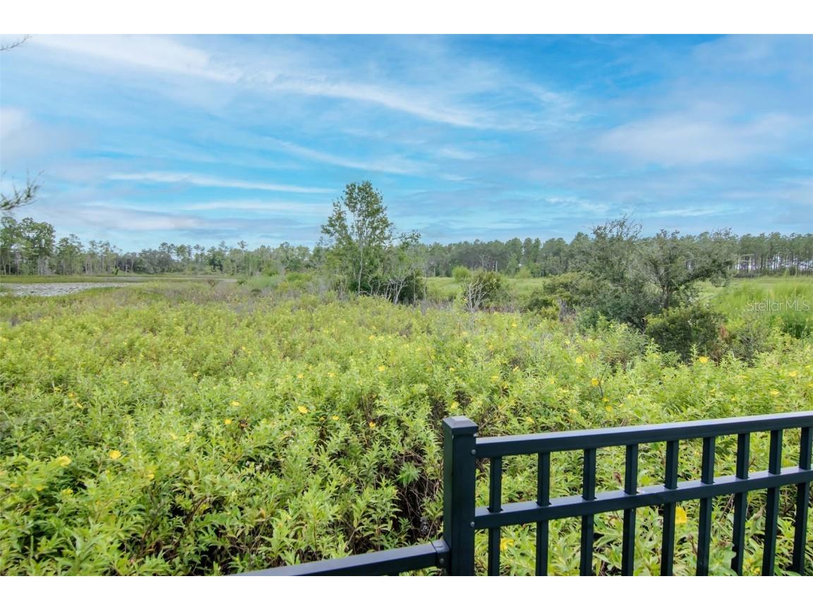 2260 Derwent Drive Davenport FL 33896 TB8436067 image45