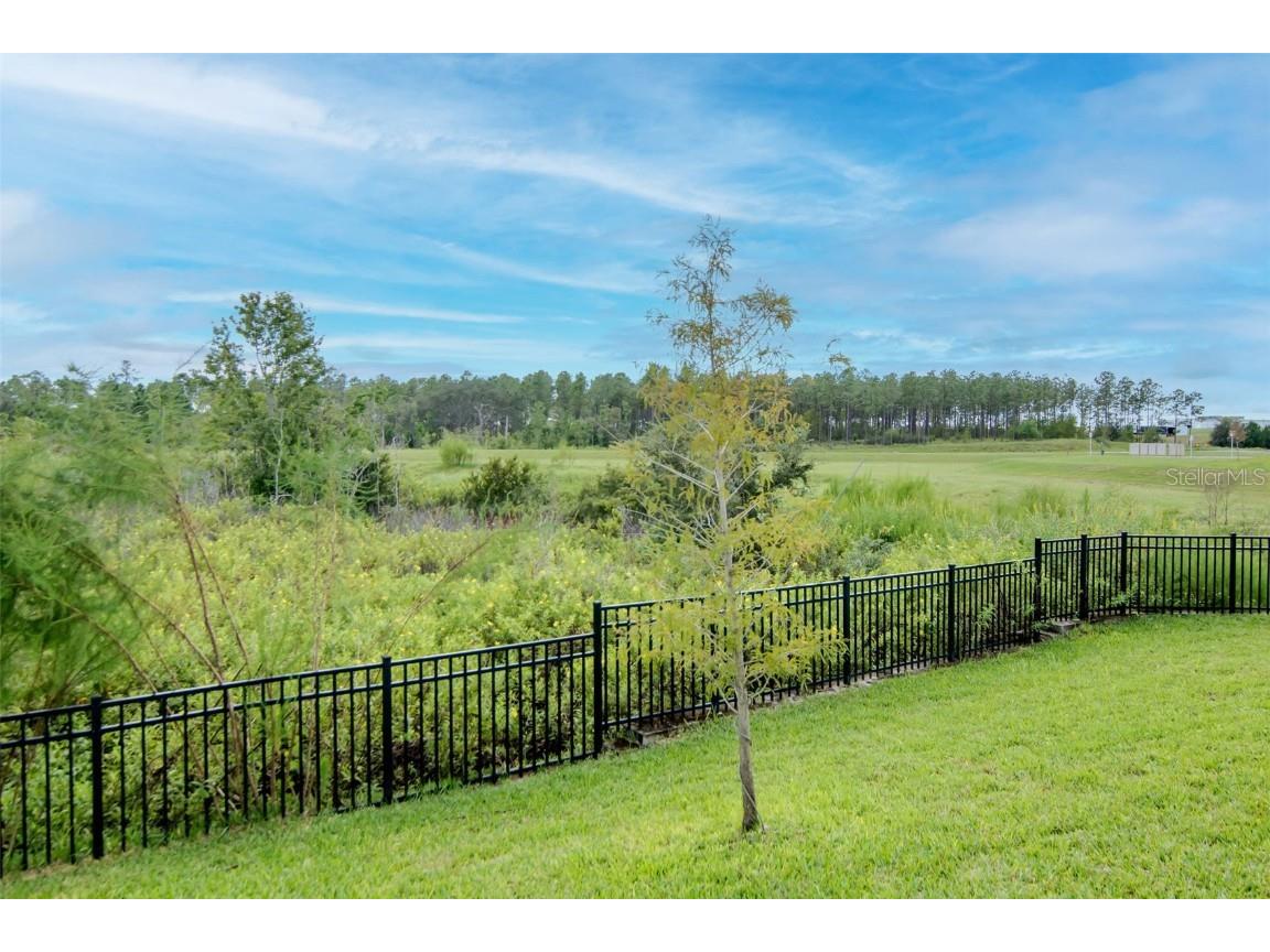 2260 Derwent Drive Davenport FL 33896 TB8436067 image47