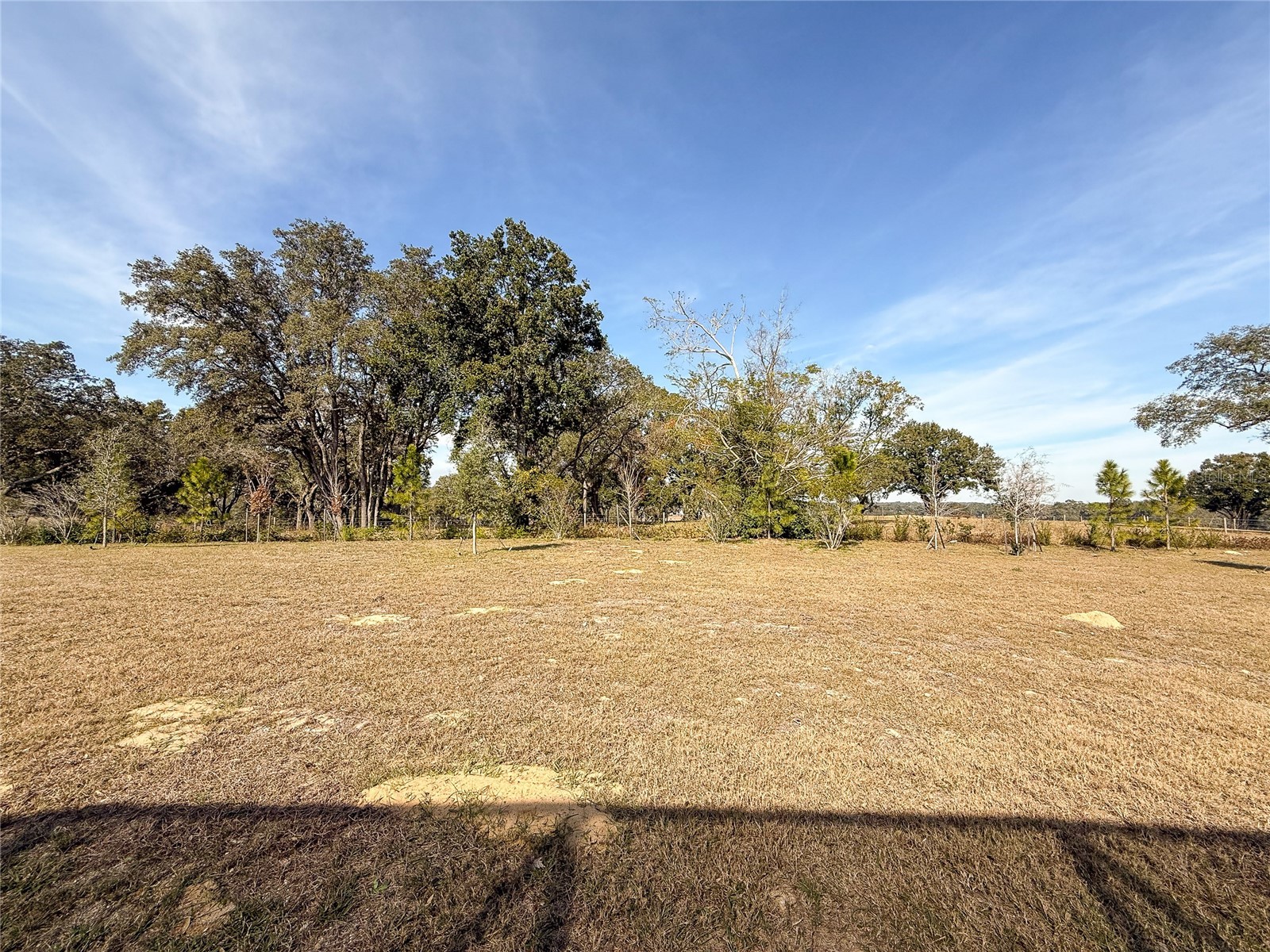 2260 Juniper Berry Drive Minneola FL 34715 O6377420 image43