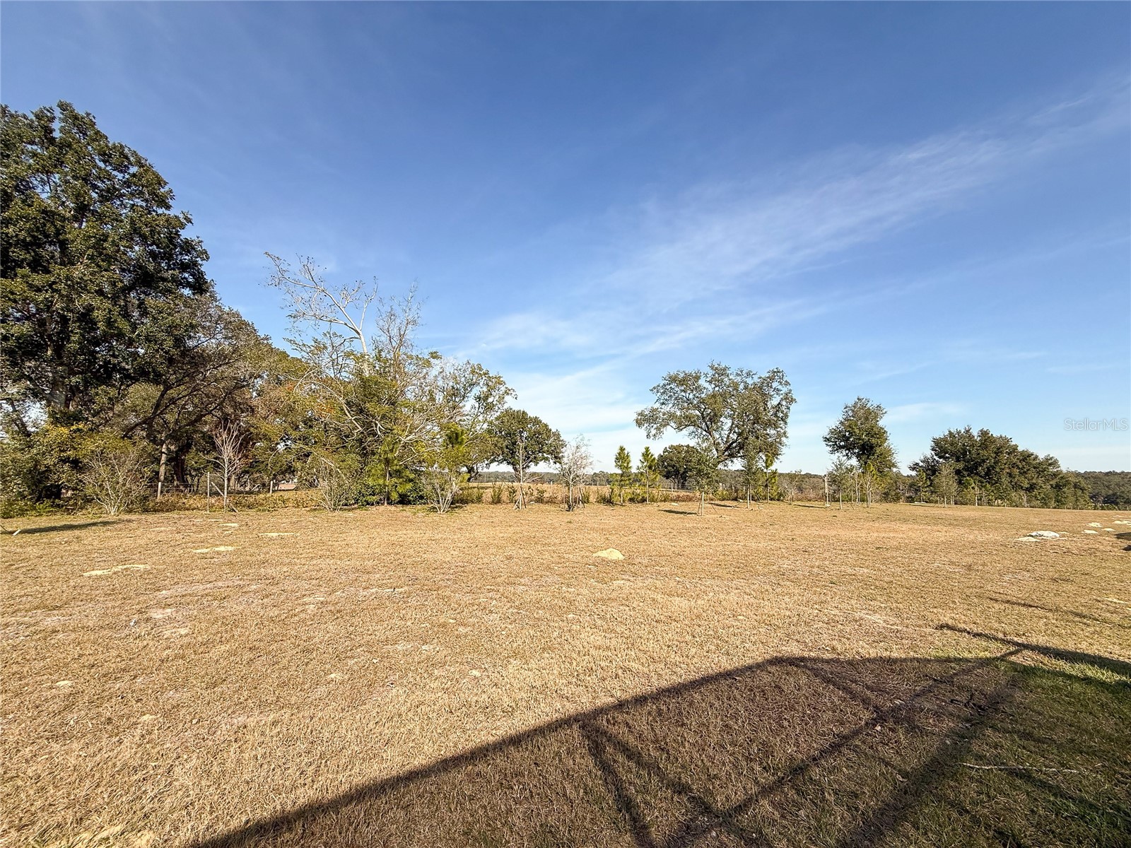 2260 Juniper Berry Drive Minneola FL 34715 O6377420 image44