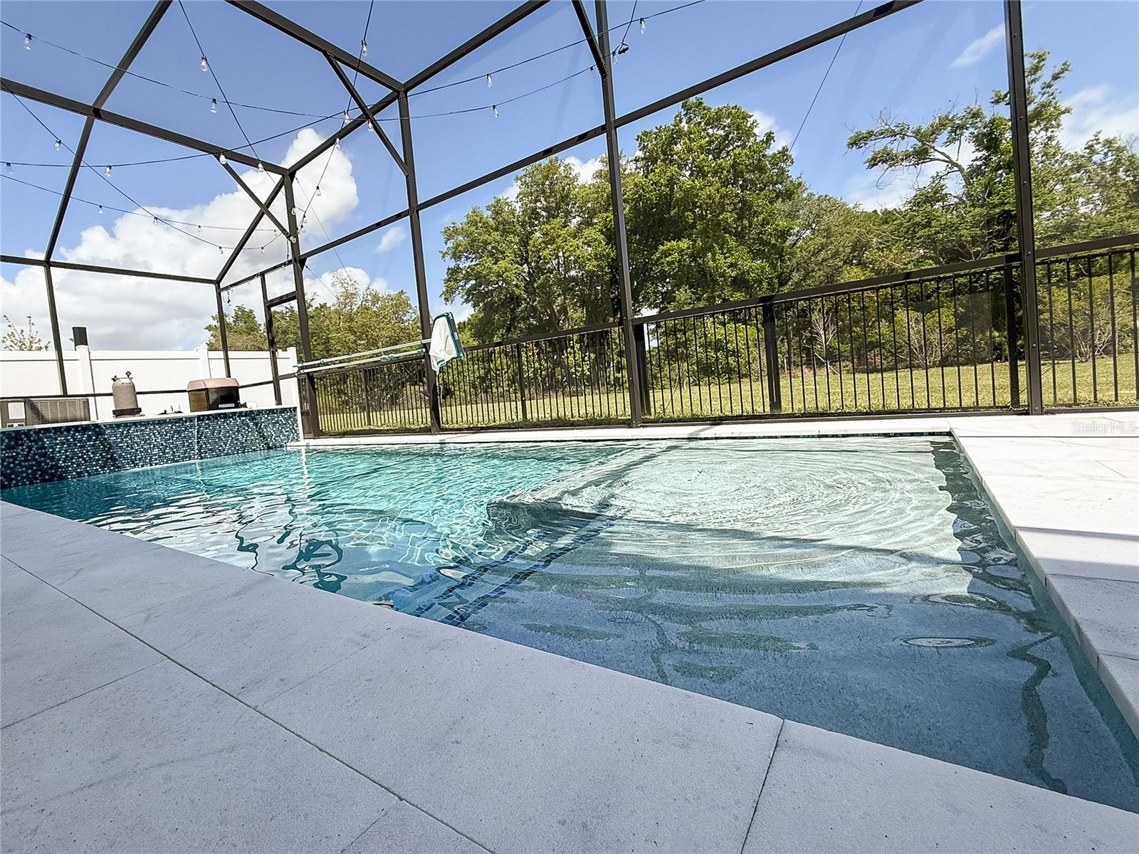 2260 Juniper Berry Drive Minneola FL 34715 O6377420 image51