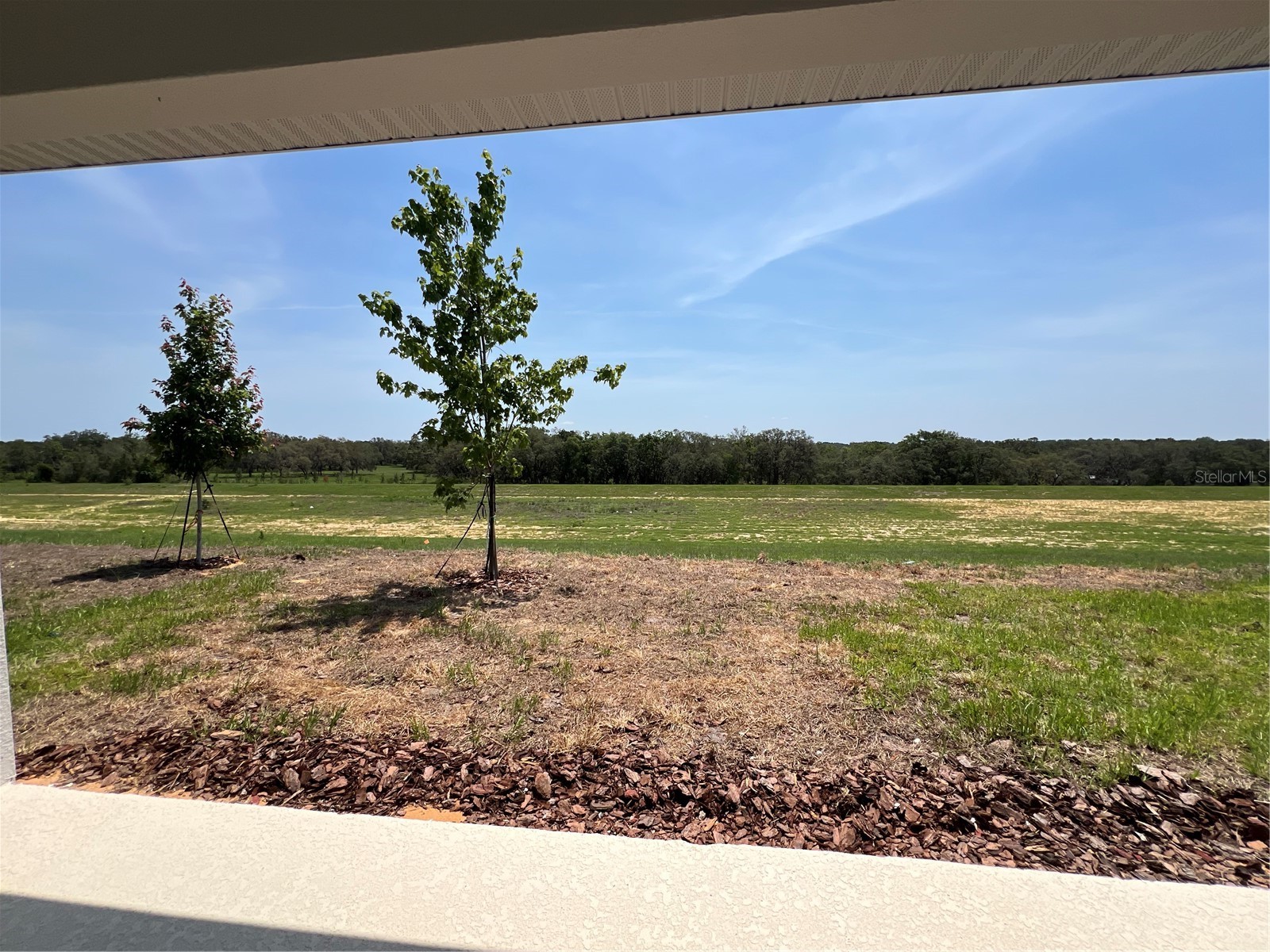 2260 Keystone Pass Boulevard Minneola FL 34715 G5109762 image22