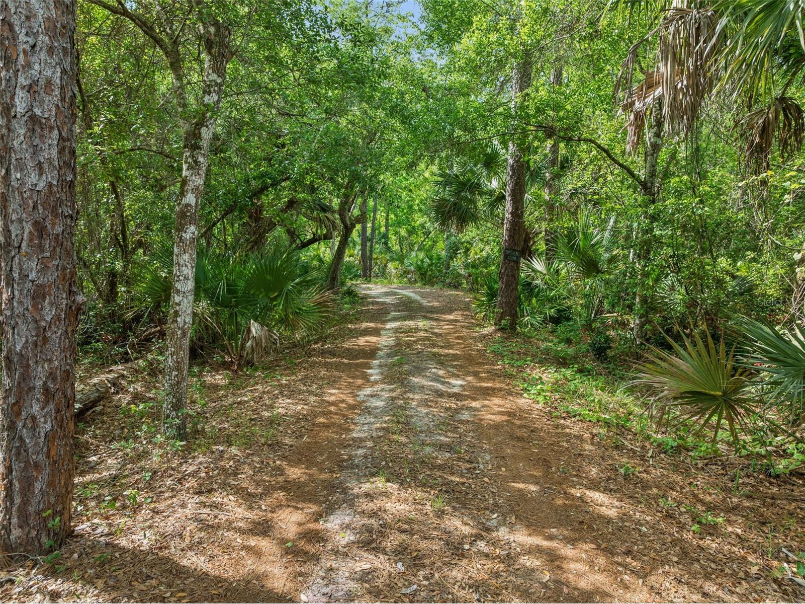 2260 Panorama Drive Chuluota FL 32766 G5110772 image43