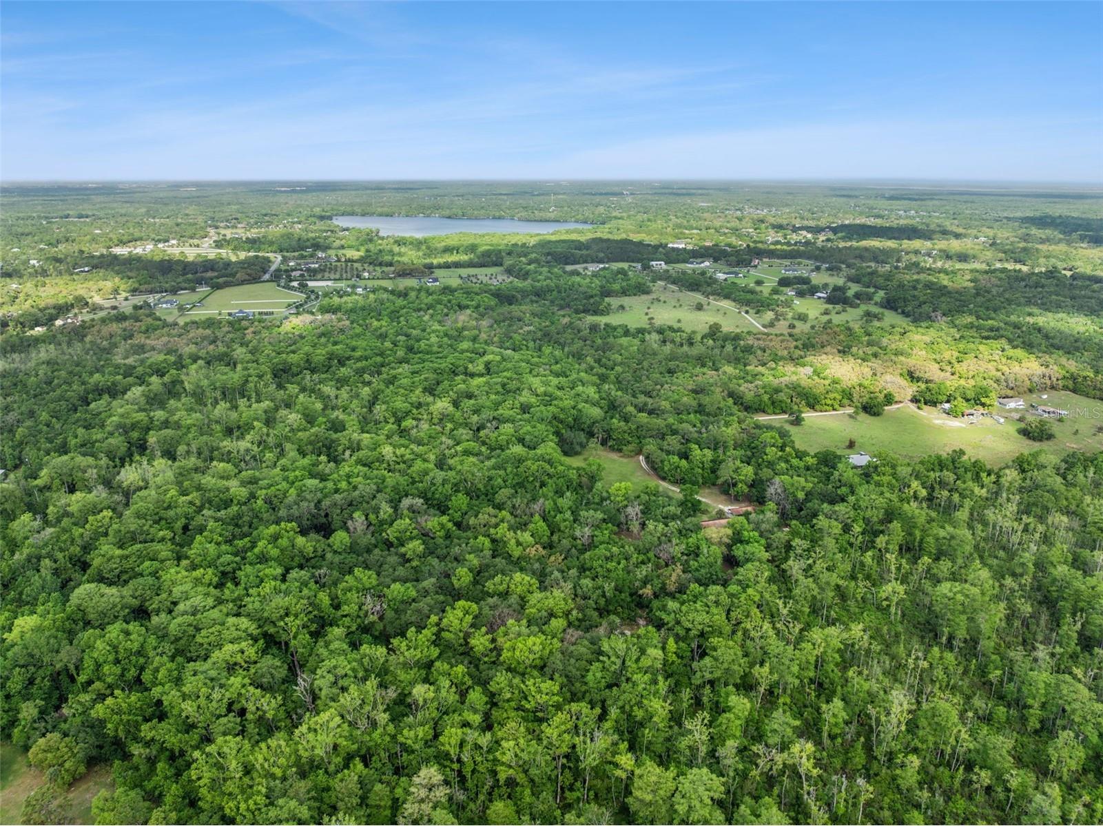 2260 Panorama Drive Chuluota FL 32766 G5110772 image45