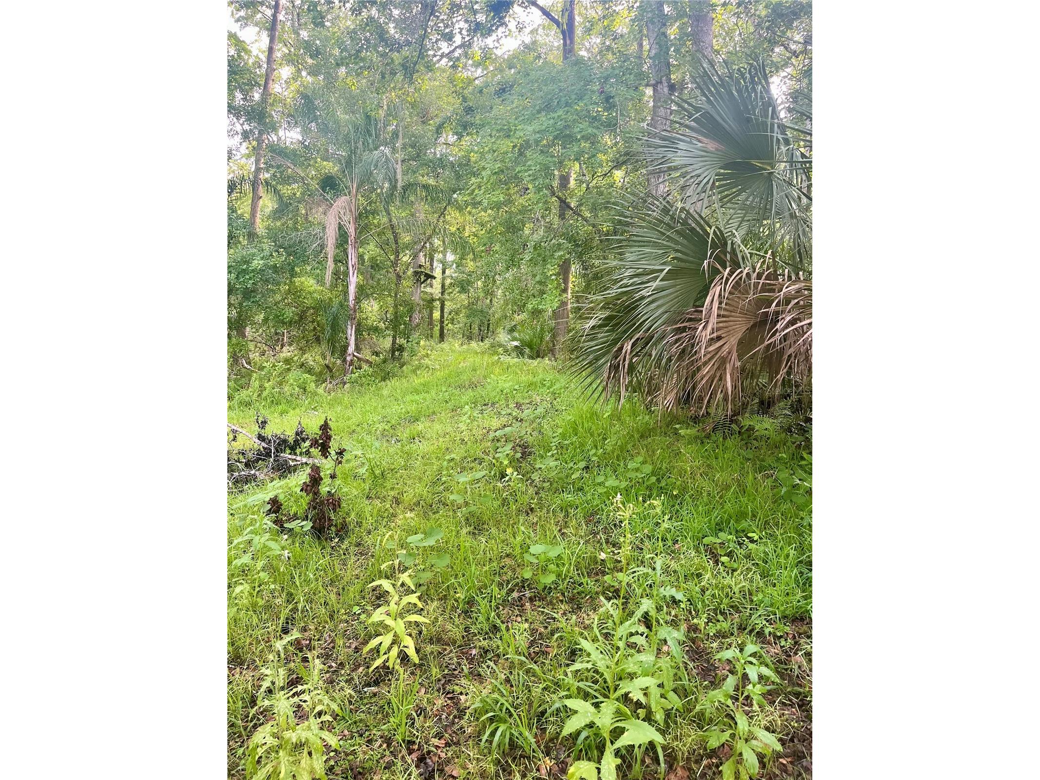 2260 Panorama Drive Chuluota FL 32766 G5110772 image47