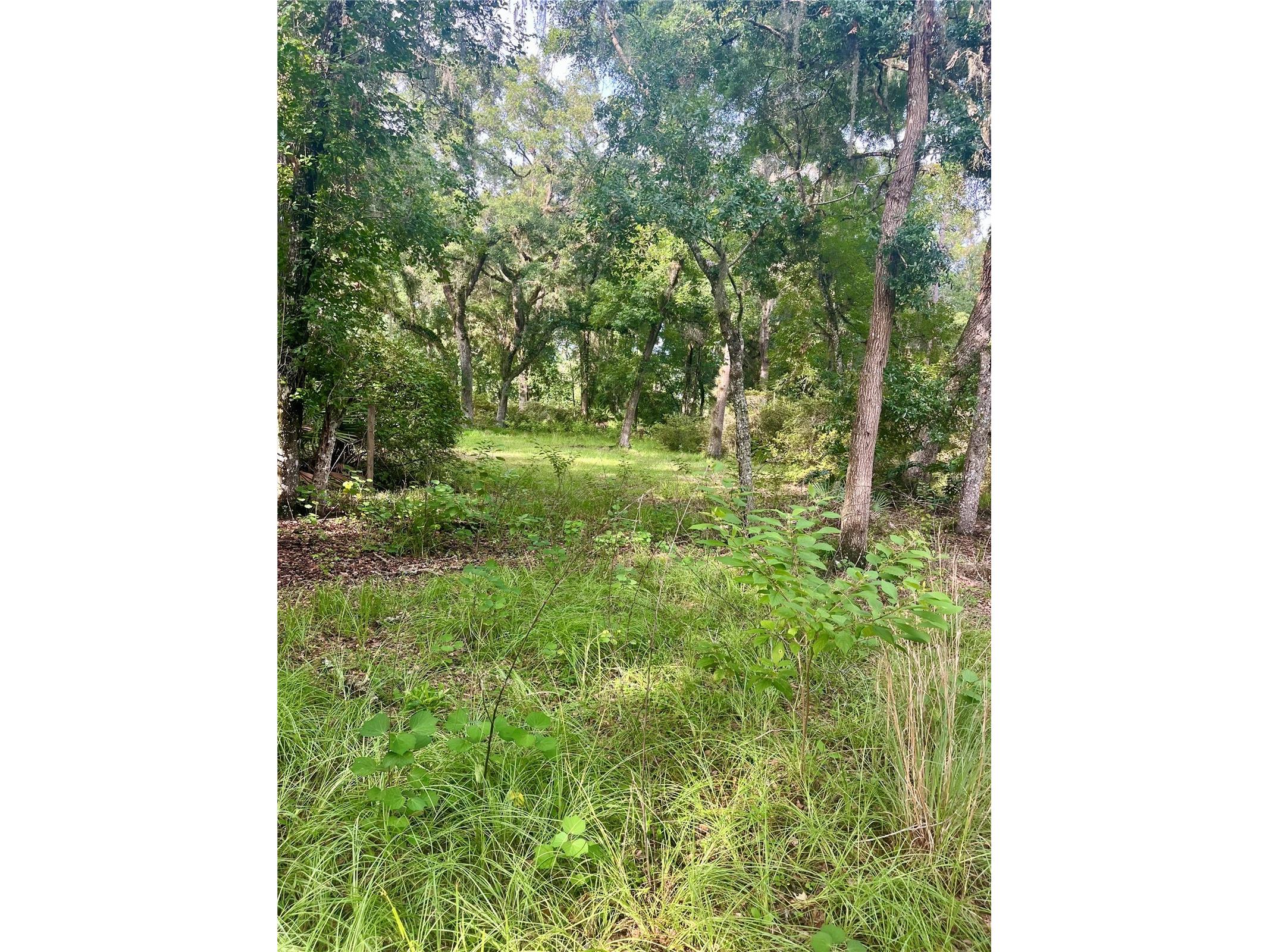2260 Panorama Drive Chuluota FL 32766 G5110772 image48