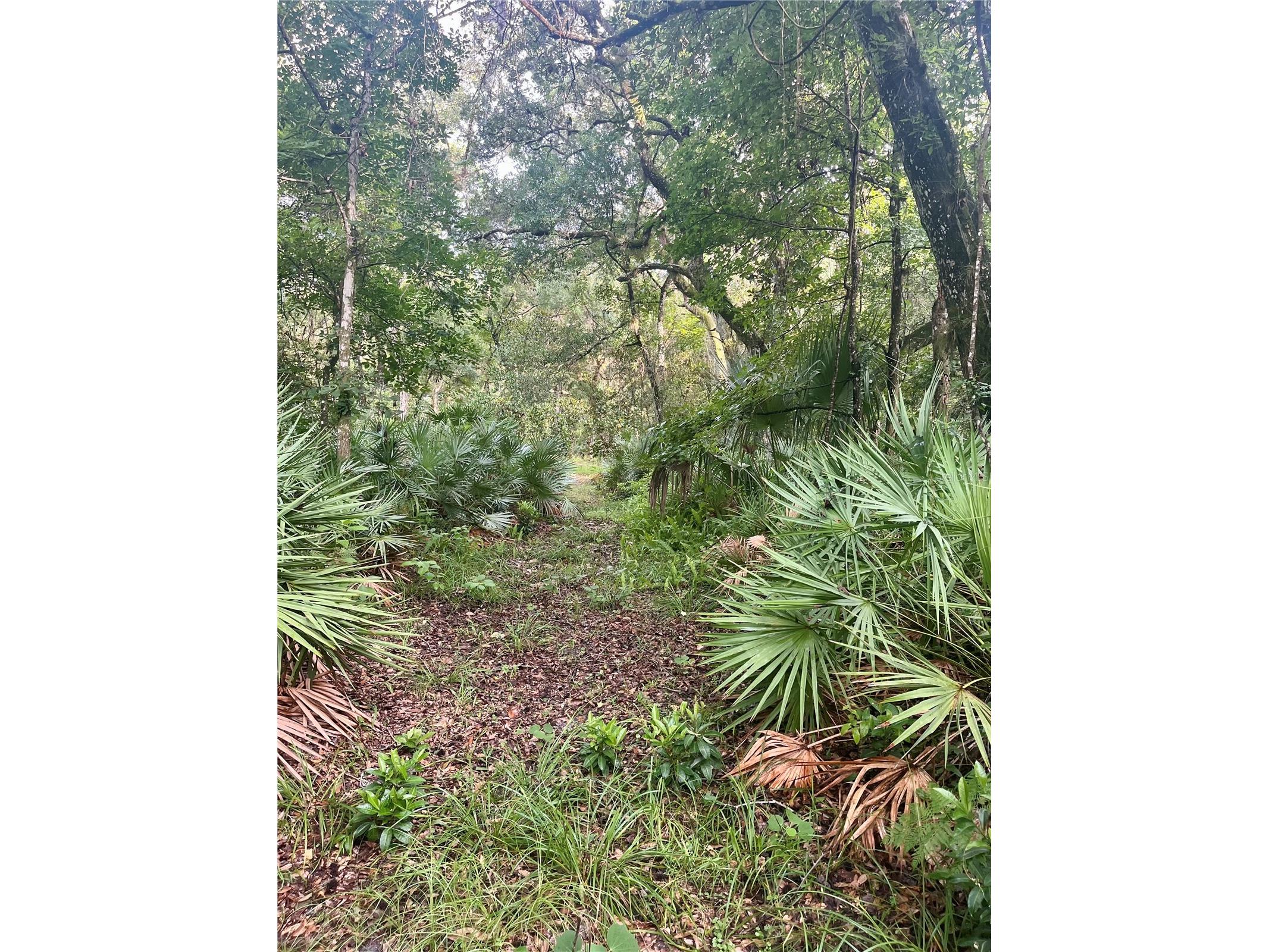 2260 Panorama Drive Chuluota FL 32766 G5110772 image49
