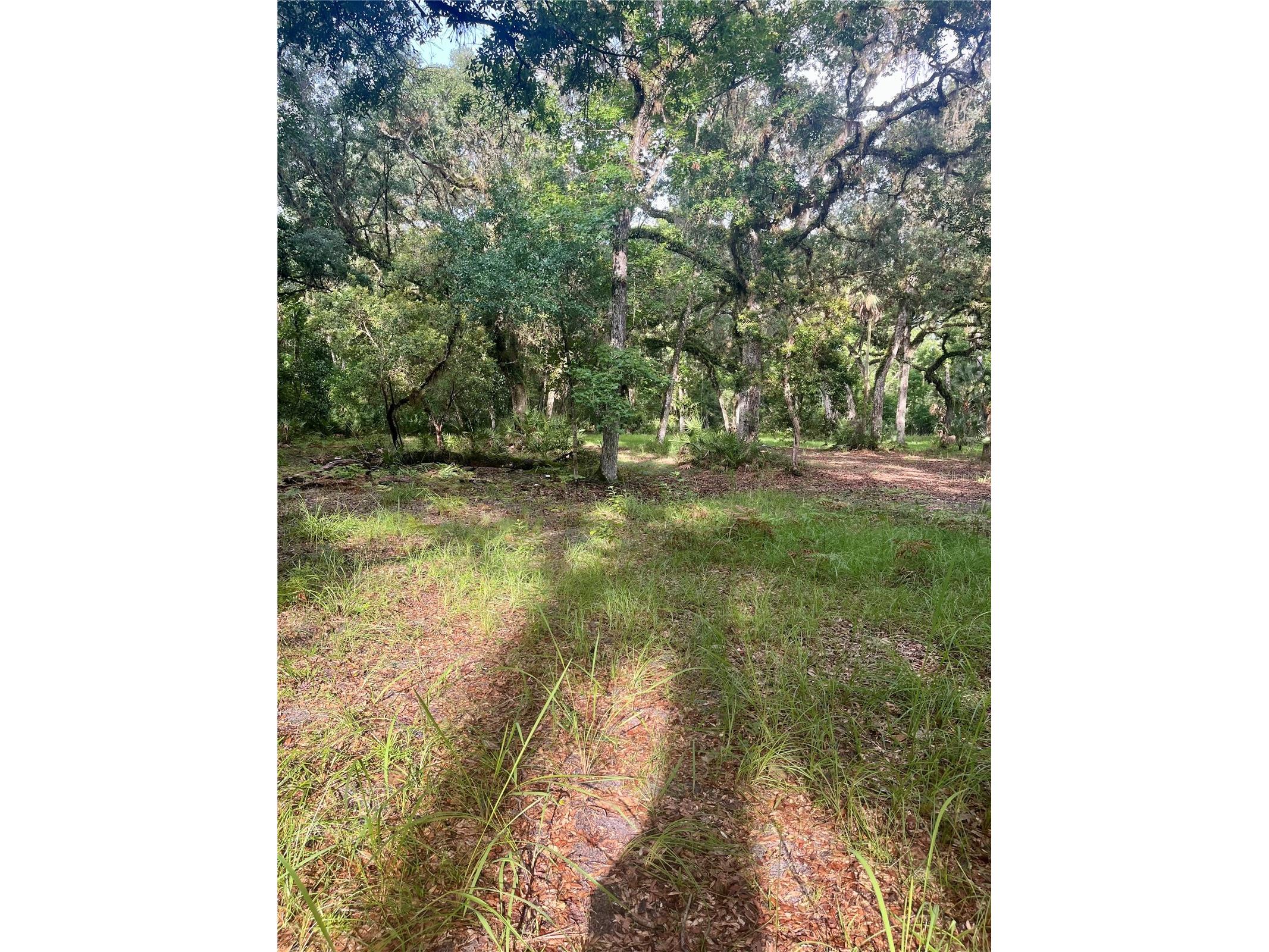 2260 Panorama Drive Chuluota FL 32766 G5110772 image50