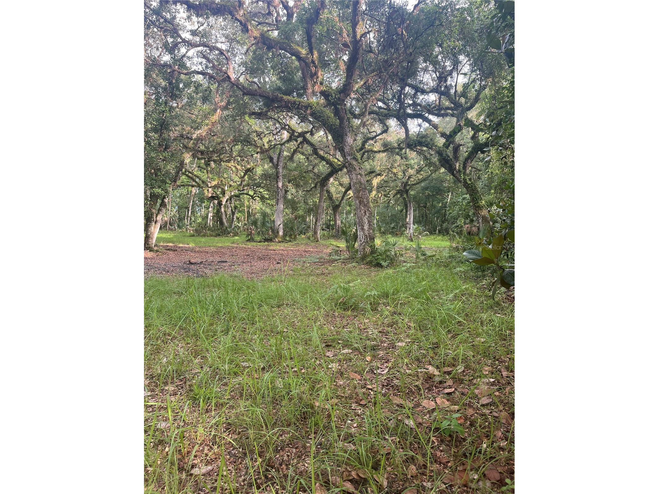 2260 Panorama Drive Chuluota FL 32766 G5110772 image51
