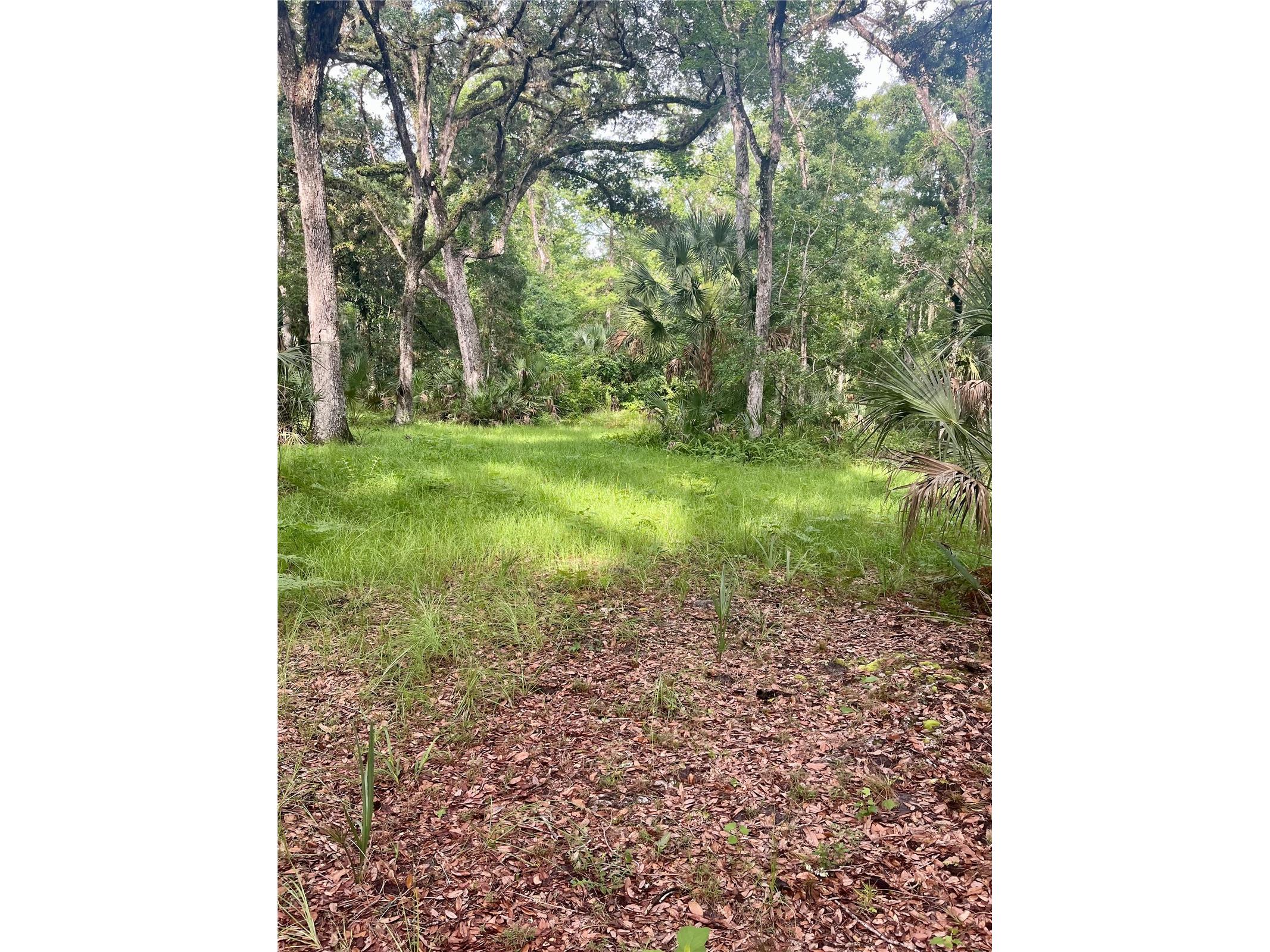 2260 Panorama Drive Chuluota FL 32766 G5110772 image54