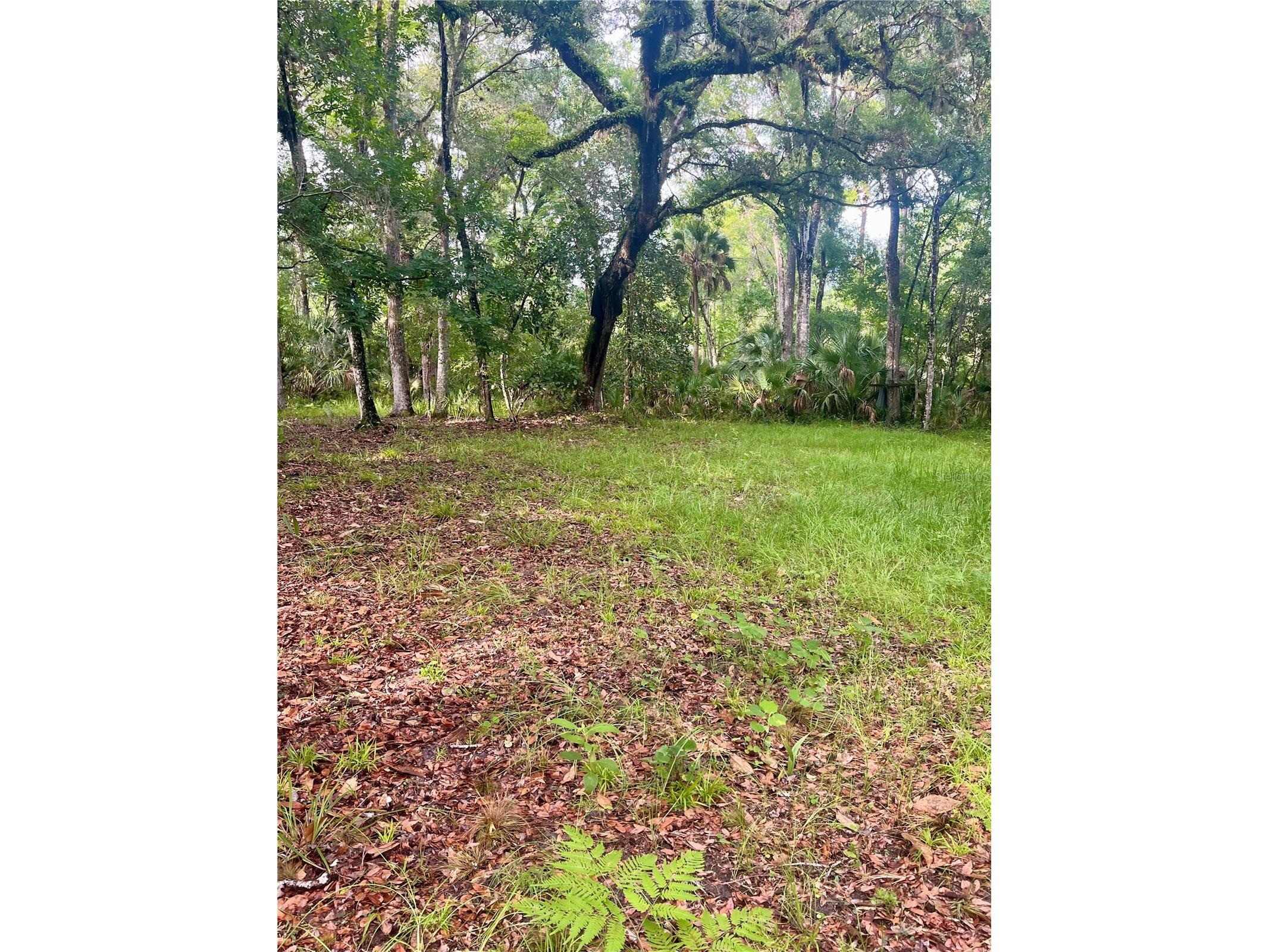 2260 Panorama Drive Chuluota FL 32766 G5110772 image55
