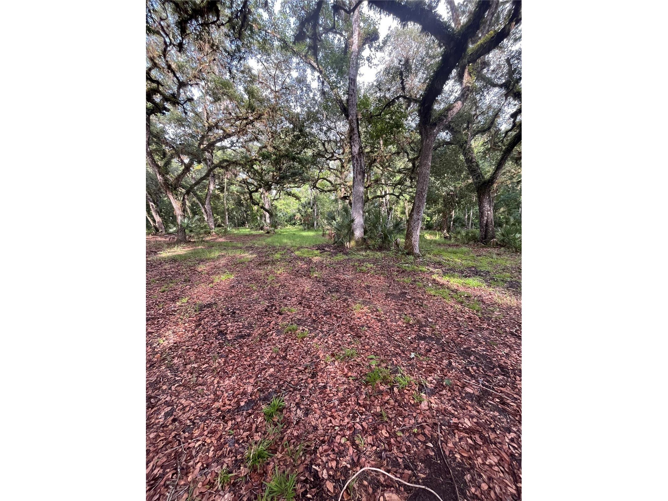 2260 Panorama Drive Chuluota FL 32766 G5110772 image56