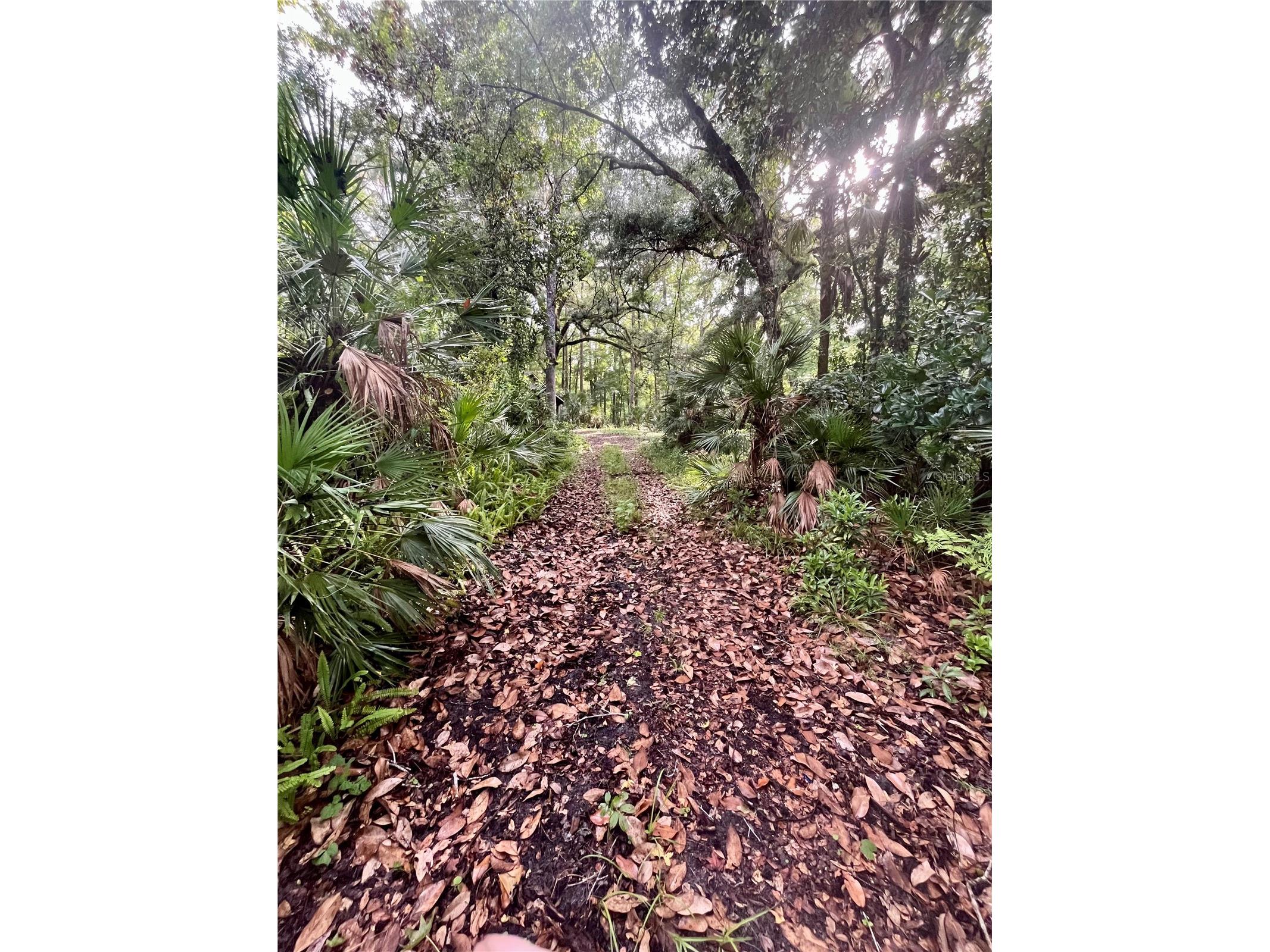 2260 Panorama Drive Chuluota FL 32766 G5110772 image57