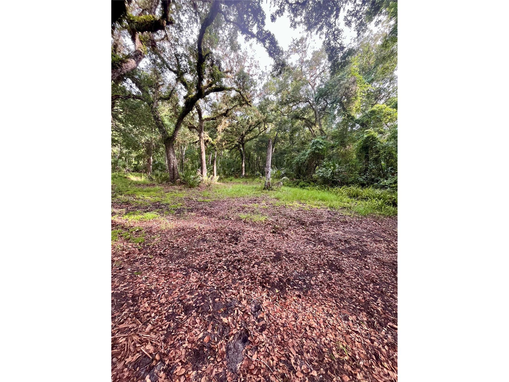 2260 Panorama Drive Chuluota FL 32766 G5110772 image58