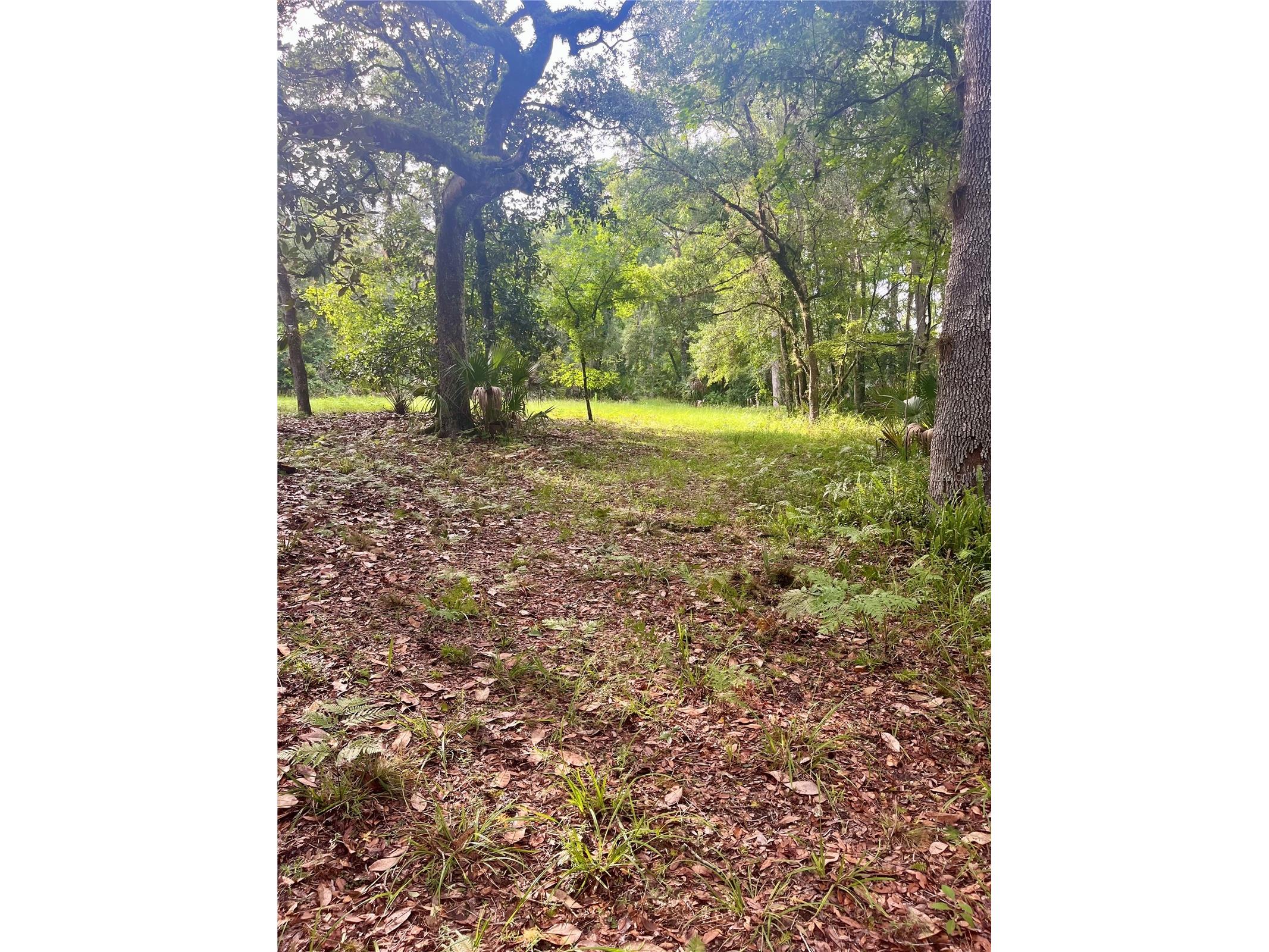 2260 Panorama Drive Chuluota FL 32766 G5110772 image59