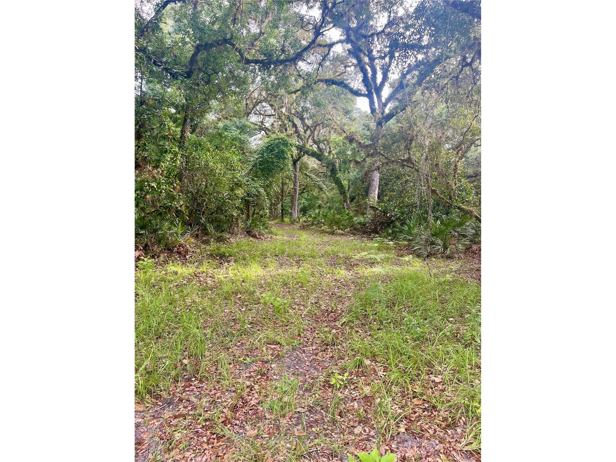 2260 Panorama Drive Chuluota FL 32766 G5110772 image60