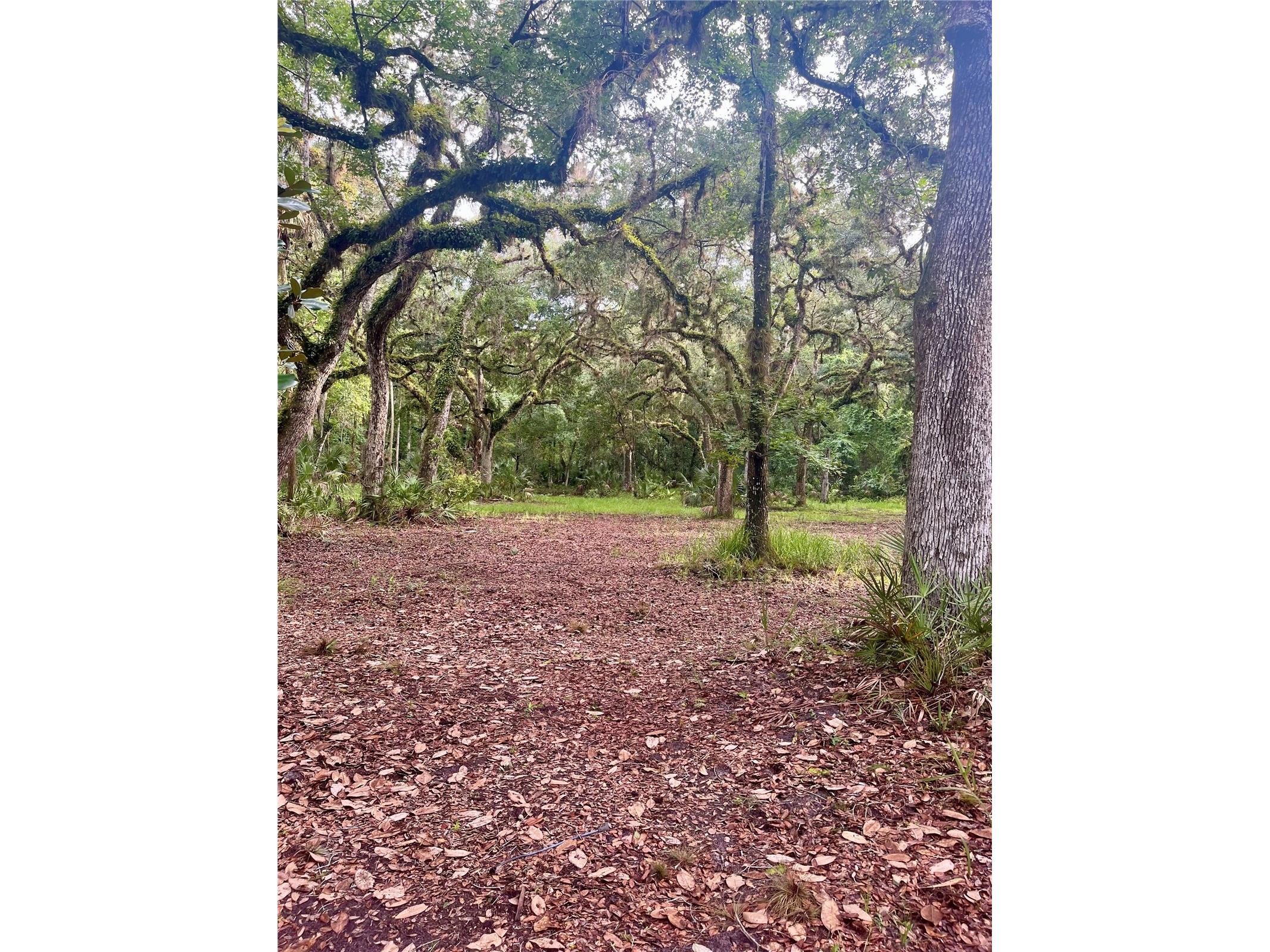 2260 Panorama Drive Chuluota FL 32766 G5110772 image61