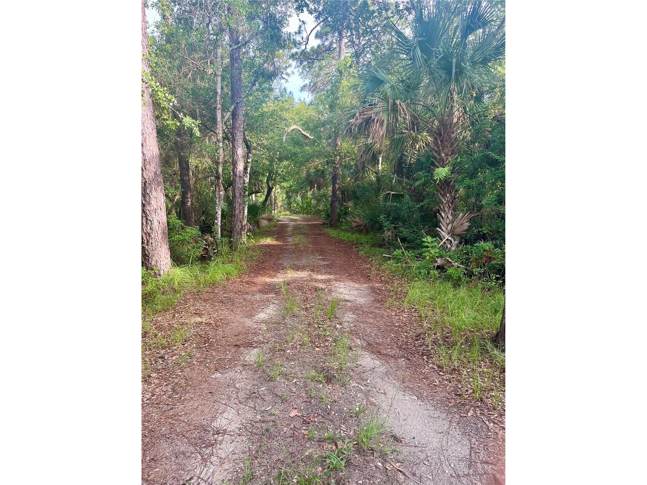 2260 Panorama Drive Chuluota FL 32766 G5110772 image62