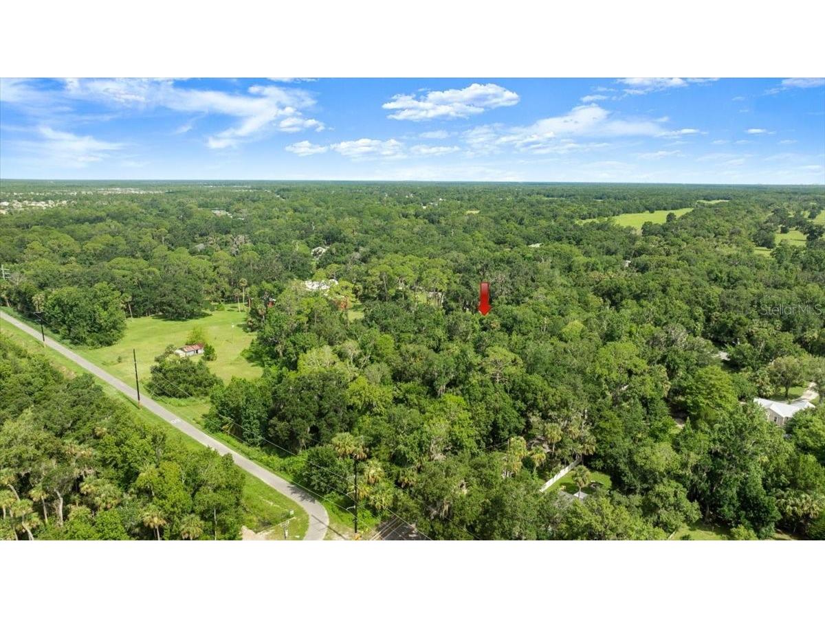 2260 Pioneer Trail New Smyrna Beach FL 32168 V4948203 image41