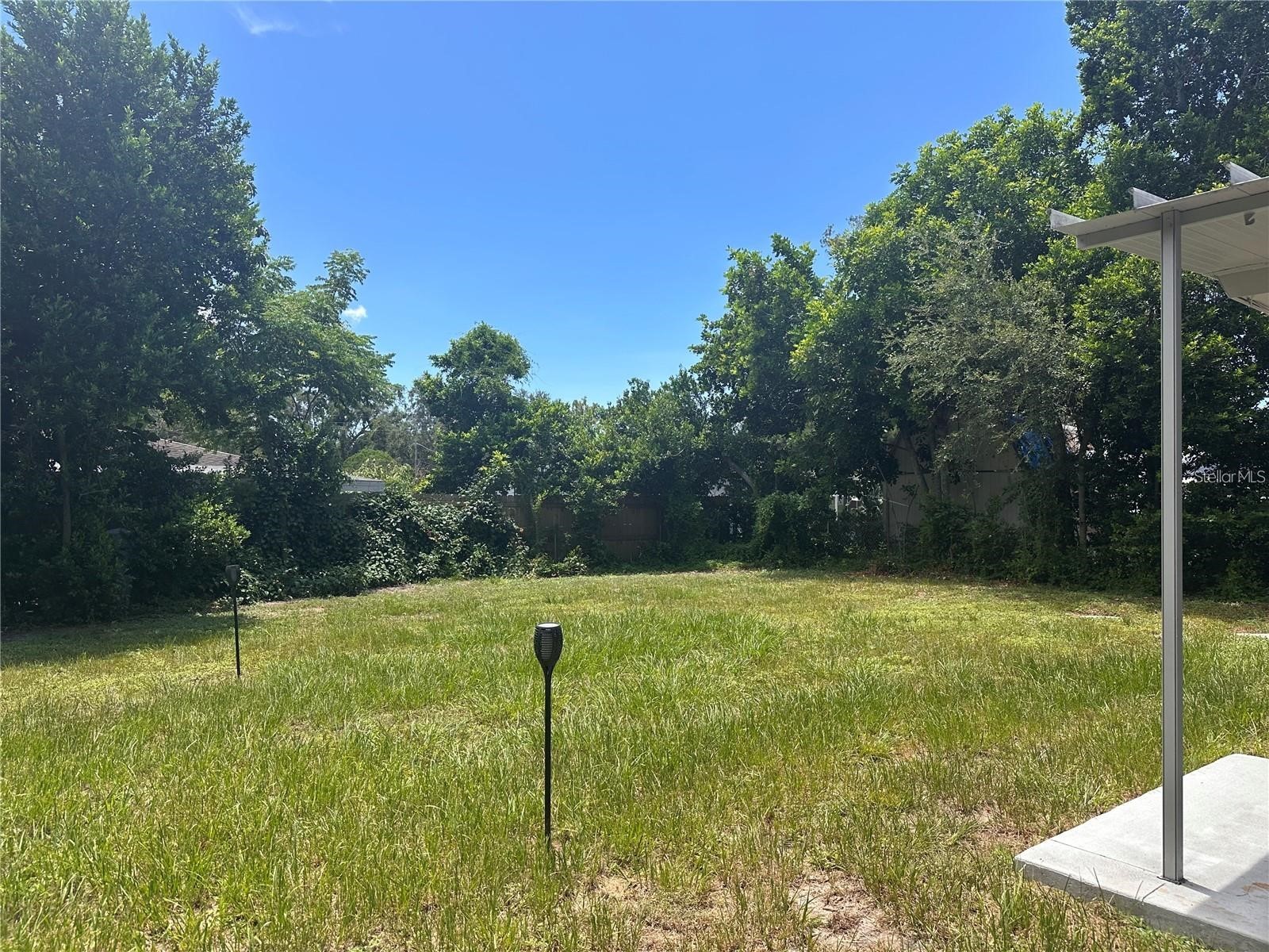 2261 Curlew Road Dunedin FL 34698 TB8480886 image13