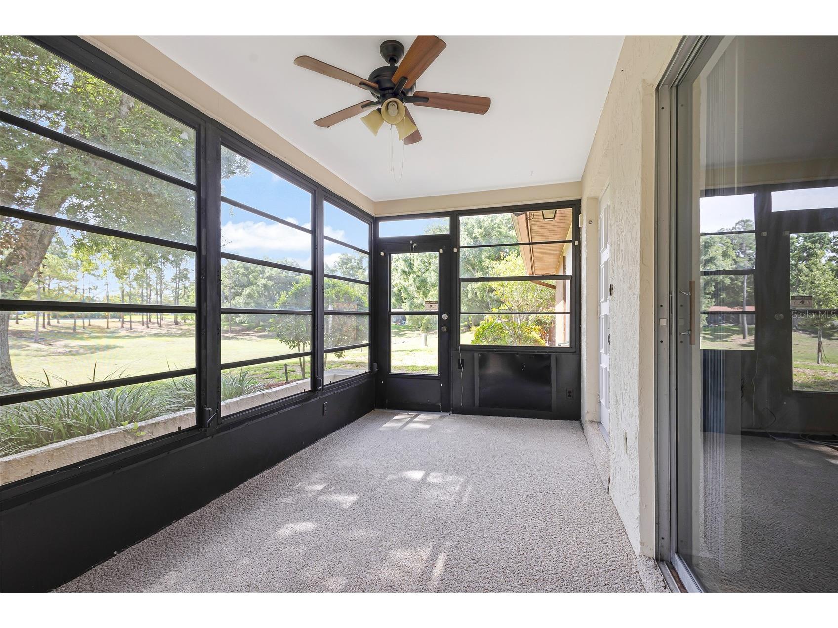 2261 Shelly Drive #D Palm Harbor FL 34684 TB8503311 image13